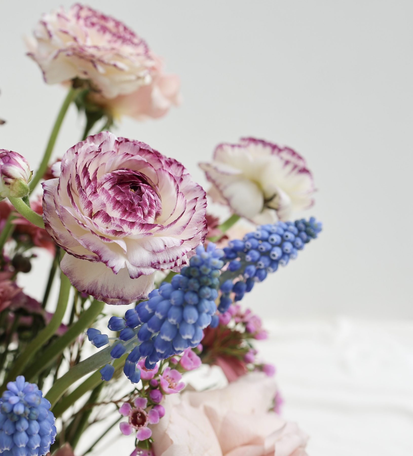 A close-up of white roses and pink astilbe.